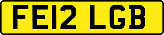 FE12LGB