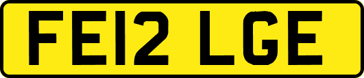 FE12LGE