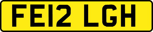 FE12LGH