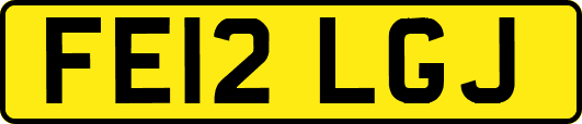 FE12LGJ