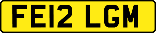 FE12LGM
