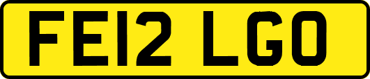 FE12LGO