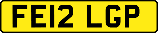 FE12LGP
