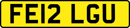 FE12LGU