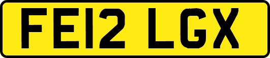 FE12LGX