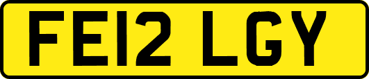 FE12LGY