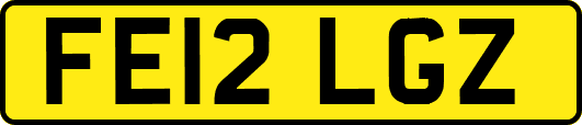 FE12LGZ