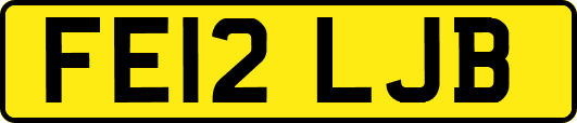 FE12LJB