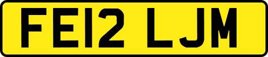 FE12LJM