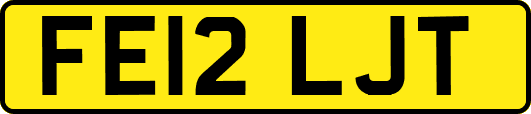 FE12LJT