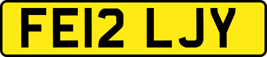 FE12LJY