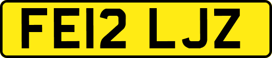 FE12LJZ