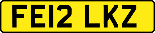 FE12LKZ