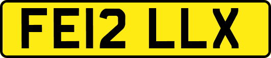 FE12LLX