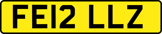 FE12LLZ