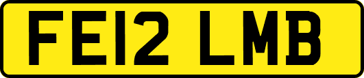FE12LMB