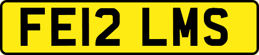 FE12LMS