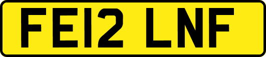 FE12LNF