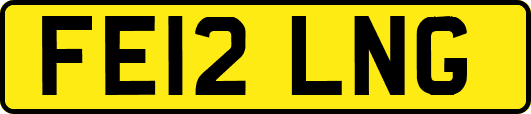 FE12LNG