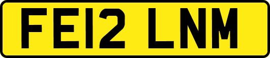 FE12LNM