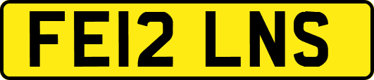 FE12LNS