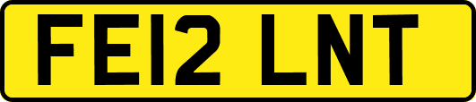 FE12LNT