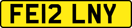 FE12LNY