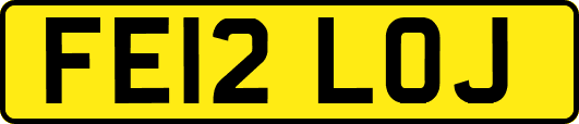 FE12LOJ