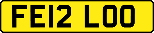 FE12LOO
