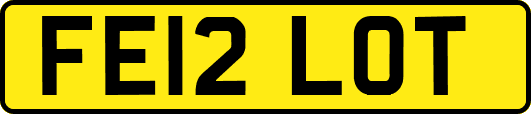 FE12LOT