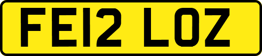 FE12LOZ