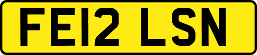 FE12LSN