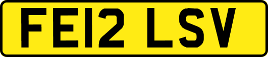 FE12LSV