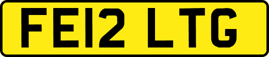FE12LTG