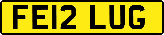 FE12LUG