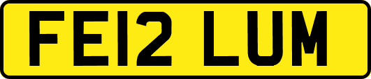 FE12LUM