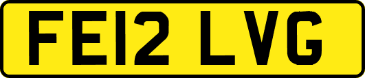 FE12LVG
