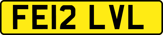 FE12LVL