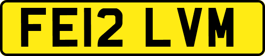FE12LVM