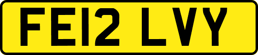 FE12LVY
