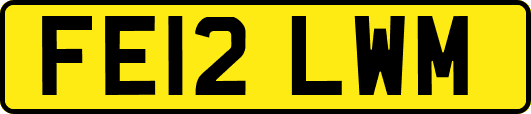 FE12LWM