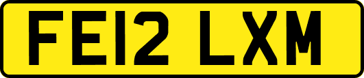 FE12LXM