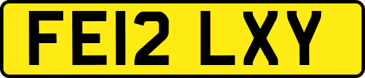 FE12LXY
