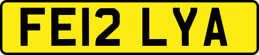 FE12LYA