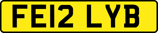 FE12LYB