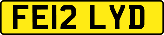 FE12LYD