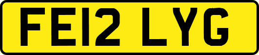 FE12LYG