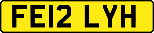 FE12LYH