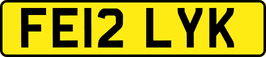 FE12LYK
