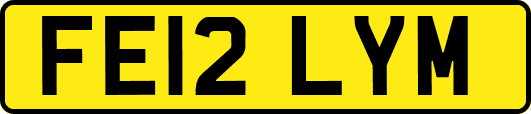 FE12LYM